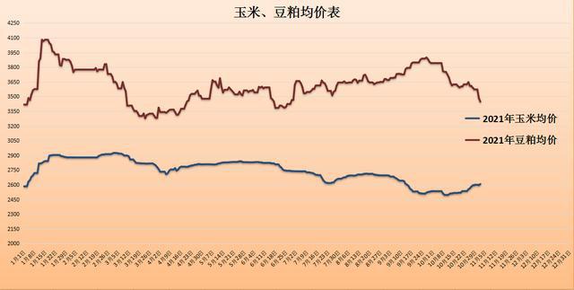 豆粕最新报价，时代印记与市场的跳动