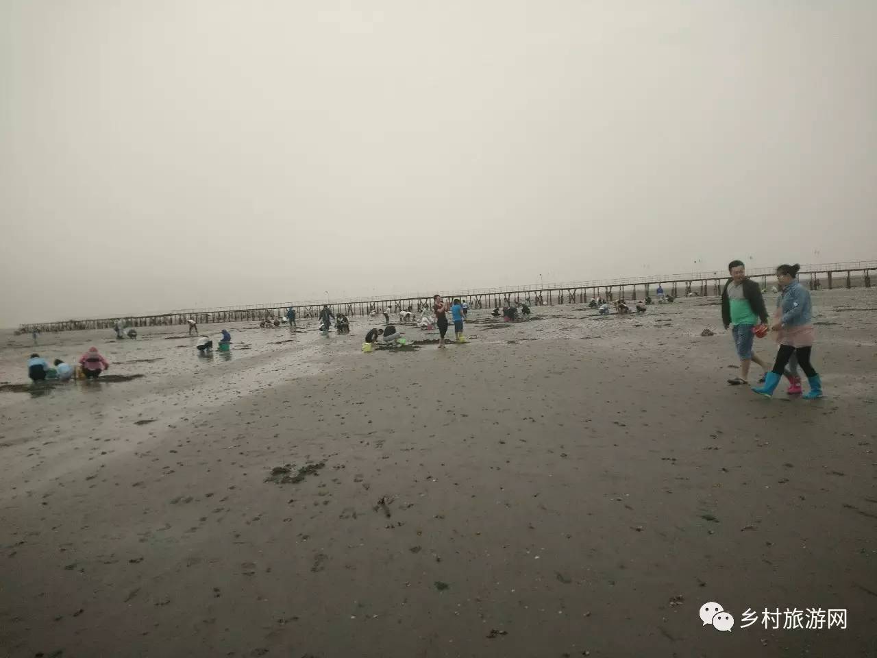 曹妃甸最新动态，温馨日常与沙堤上的快乐时光