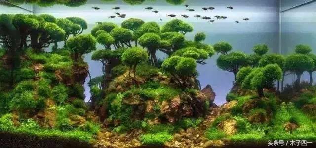 科技重塑生活，最新鱼缸新款图片展现未来感！