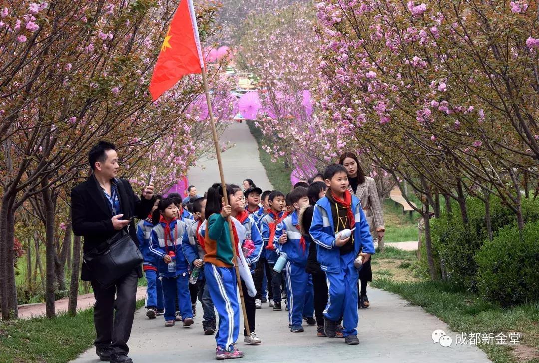 最新金堂新闻，踏春之旅探寻自然美景，寻找内心的宁静