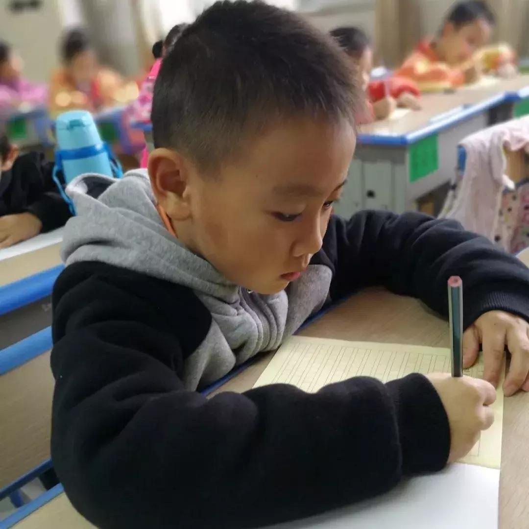 最新英语表达之旅，欢笑与温情交织的英语学习之旅