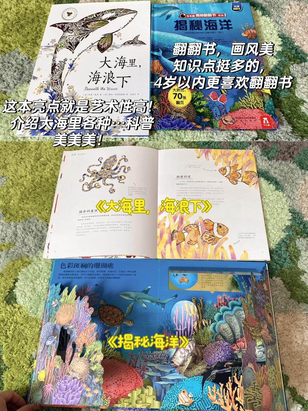 最新书单，探索知识的海洋之旅