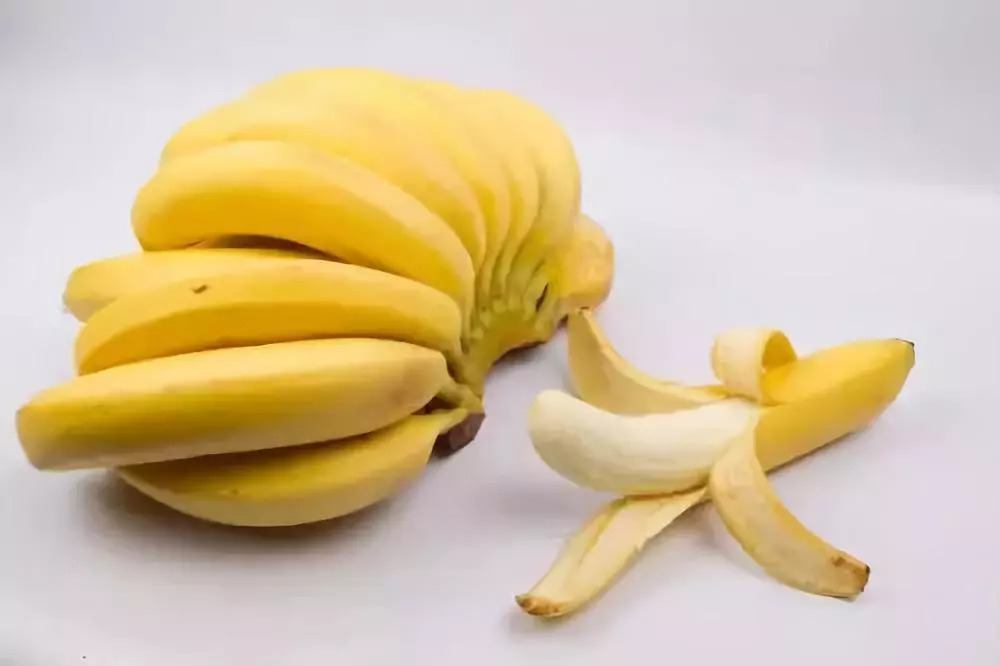 香蕉在线最新资讯与技能学习指南，轻松掌握香蕉资讯的必备指南