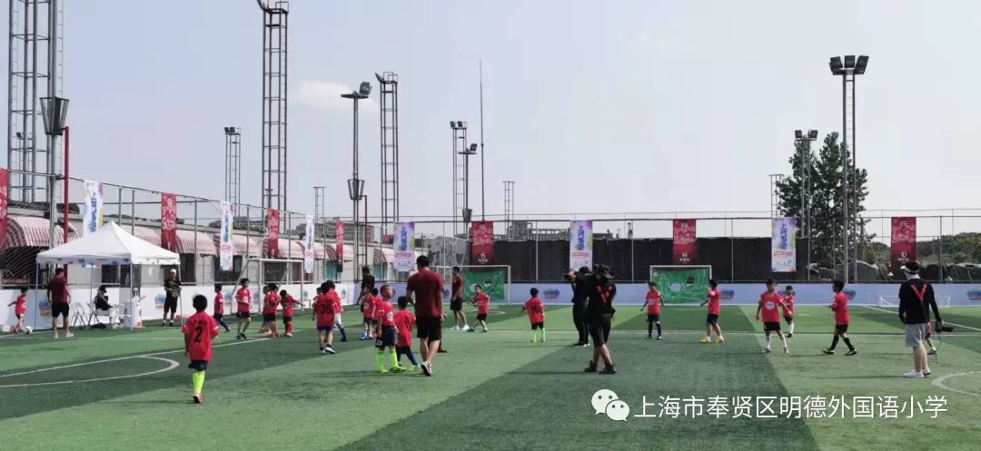 足球最新动态，心灵与自然的足球之旅启程