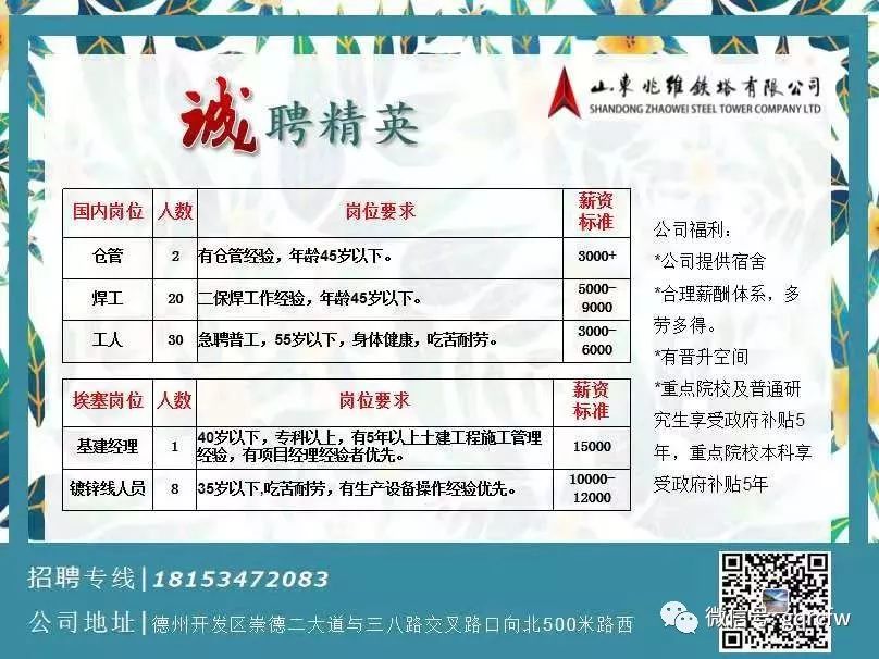 洛阳最新招聘信息，启程探索自然美景，寻找内心宁静之旅