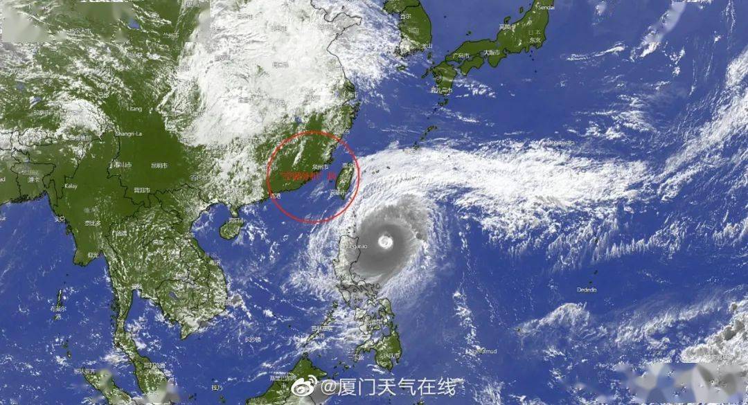 厦门台风最新消息，风雨中的温馨日常故事