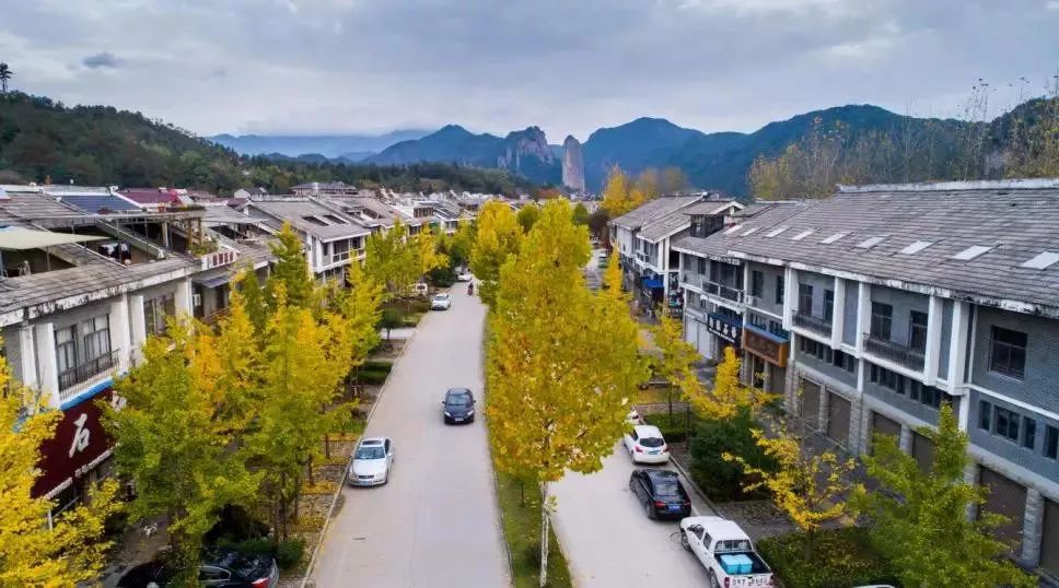 界首美丽乡村的新时代蜕变，最新发展动态与蜕变之路