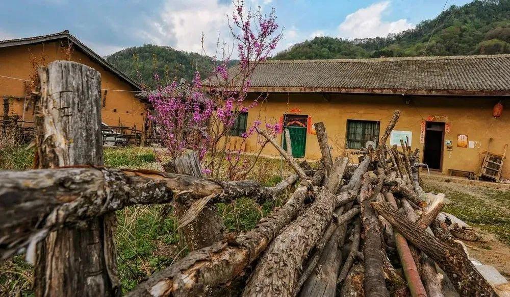 云集品最新经济分享，自然美景下的旅行探索之旅